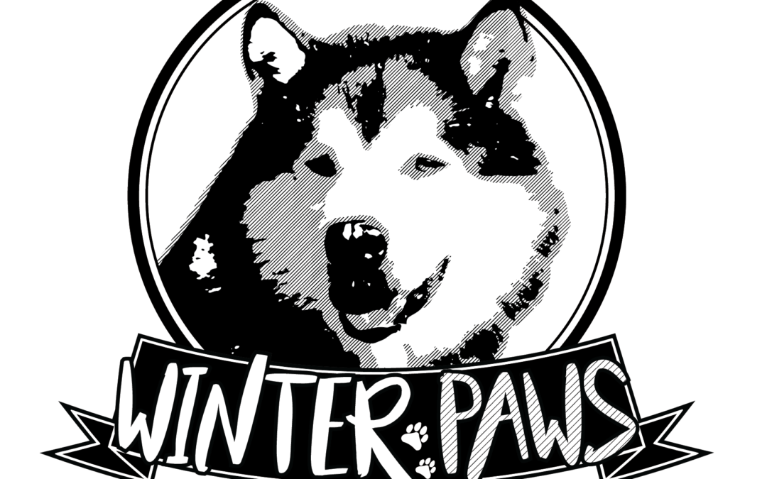 Winter Paws