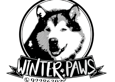 Winter Paws